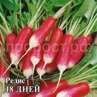 С13362 С13362