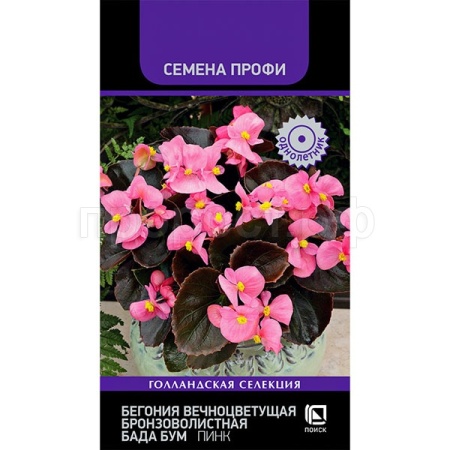Бегония вечноцветущая бронзоволистная Бада Бум Пинк 15шт
