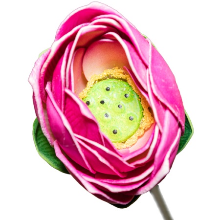 Плав.цветок Лотос 62715