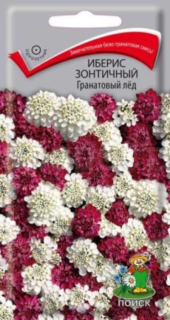 Иберис зонтичный Гранатовый лед 0,1г