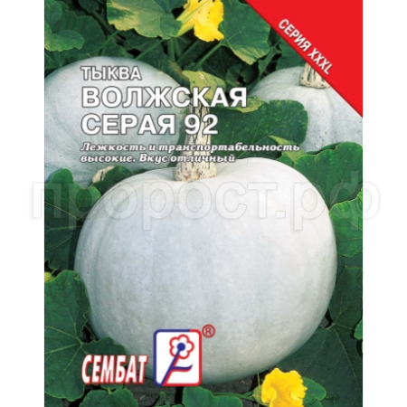 Тыква крупноплодная Волжская Серая 92 10г  Тыква крупноплодная Волжская Серая 92 10г