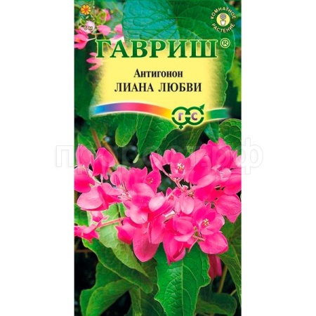 Антигонон Лиана любви 5шт